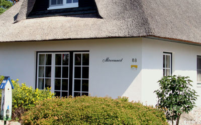 Startseite Urlaub In Heringsdorf